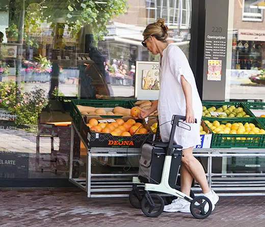 carbon ultralight walker in white color at the market